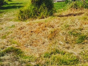 VENTA DE TERRENO, CASA Y DEPARTAMENTOS EN TOLUCA