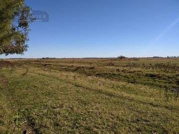 Campo - Punta Indio