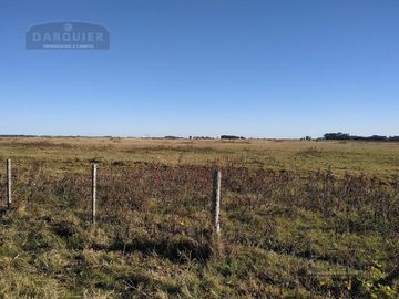 Campo - Punta Indio