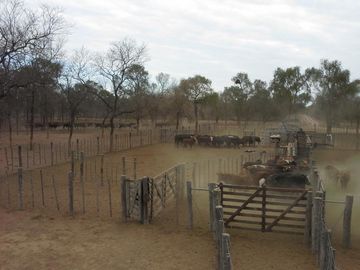 Campo en VENTA, CHACO TACO POZO