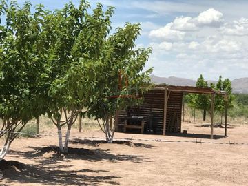 Terreno Venta Campestre Aldama 530,000 ramvaz Rao