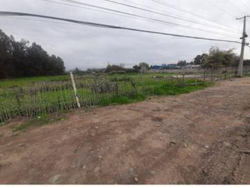 Parcela en Venta en Col Paine Ruta 5 Sur