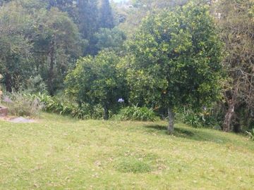 Quinta de Venta Capelo