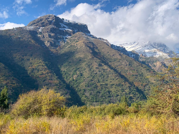 Agrícola en Venta en Ruta Internacional Paso Vergara Km 65, Los Queñes