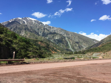 Agrícola en Venta en Ruta Internacional Paso Vergara Km 65, Los Queñes