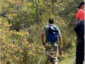 Agrícola en Venta en Ruta Internacional Paso Vergara Km 65, Los Queñes