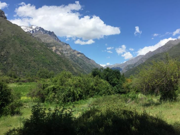 Agrícola en Venta en Ruta Internacional Paso Vergara Km 65, Los Queñes