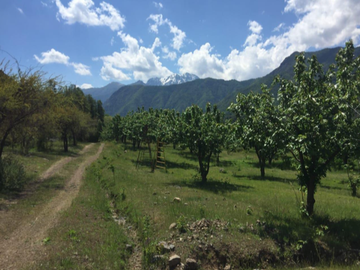 Agrícola en Venta en Ruta Internacional Paso Vergara Km 65, Los Queñes