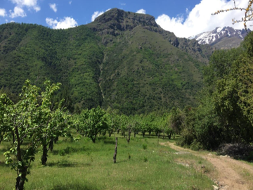 Agrícola en Venta en Ruta Internacional Paso Vergara Km 65, Los Queñes