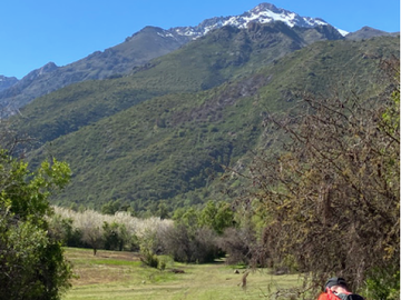 Agrícola en Venta en Ruta Internacional Paso Vergara Km 65, Los Queñes