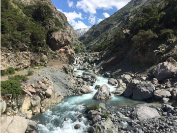 Agrícola en Venta en Ruta Internacional Paso Vergara Km 65, Los Queñes