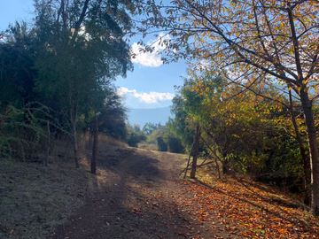 Agrícola en Venta en Ruta Internacional Paso Vergara Km 65, Los Queñes