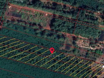 For Sale a building-ready land , Din Thong , Wang Thong , Phitsanulok , CX-107133