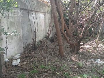 Casa a reciclar con parque en lote propio en Ramos Mejía
