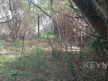 Casa a reciclar con parque en lote propio en Ramos Mejía