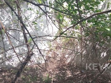 Casa a reciclar con parque en lote propio en Ramos Mejía