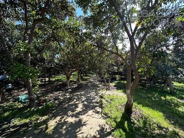 Casa en Venta en Limachito, Limache