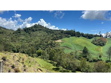 Venta finca de 26 H con aguacate y pino en Pantanillo el Retiro