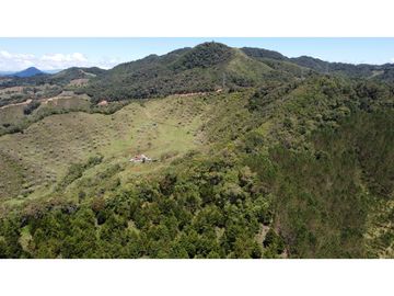 Venta finca de 26 H con aguacate y pino en Pantanillo el Retiro