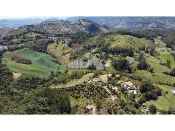 Venta finca de 26 H con aguacate y pino en Pantanillo el Retiro