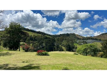 Venta finca de 26 H con aguacate y pino en Pantanillo el Retiro