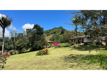 Venta finca de 26 H con aguacate y pino en Pantanillo el Retiro