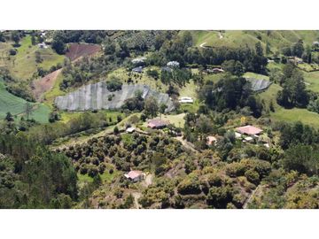 Venta finca de 26 H con aguacate y pino en Pantanillo el Retiro