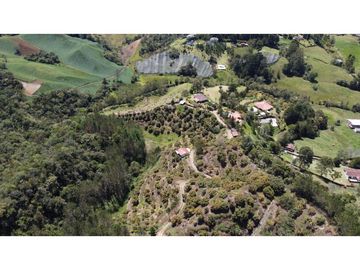 Venta finca de 26 H con aguacate y pino en Pantanillo el Retiro