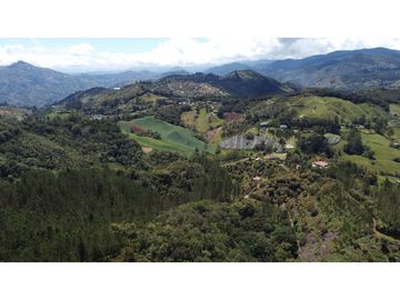 Venta finca de 26 H con aguacate y pino en Pantanillo el Retiro