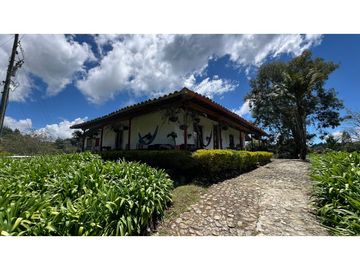 Venta finca de 26 H con aguacate y pino en Pantanillo el Retiro