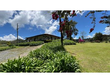 Venta finca de 26 H con aguacate y pino en Pantanillo el Retiro