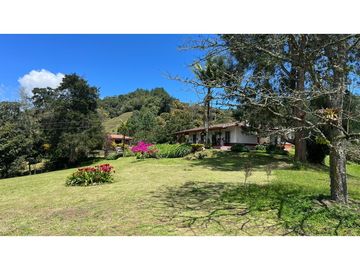 Venta finca de 26 H con aguacate y pino en Pantanillo el Retiro