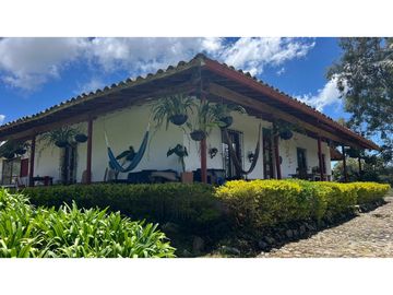 Venta finca de 26 H con aguacate y pino en Pantanillo el Retiro