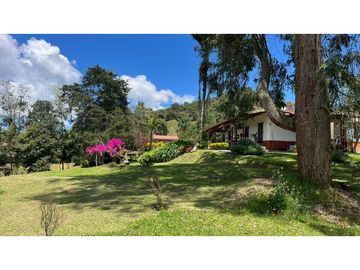 Venta finca de 26 H con aguacate y pino en Pantanillo el Retiro