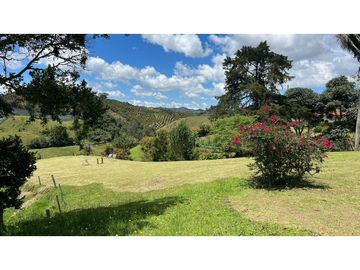 Venta finca de 26 H con aguacate y pino en Pantanillo el Retiro