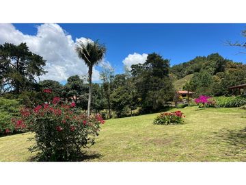 Venta finca de 26 H con aguacate y pino en Pantanillo el Retiro