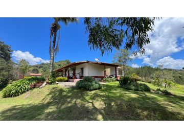 Venta finca de 26 H con aguacate y pino en Pantanillo el Retiro