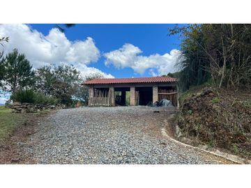 Venta finca de 26 H con aguacate y pino en Pantanillo el Retiro