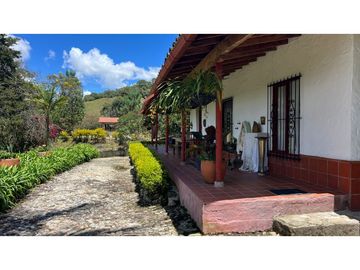Venta finca de 26 H con aguacate y pino en Pantanillo el Retiro