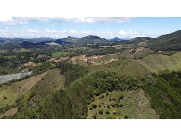 Venta finca de 26 H con aguacate y pino en Pantanillo el Retiro