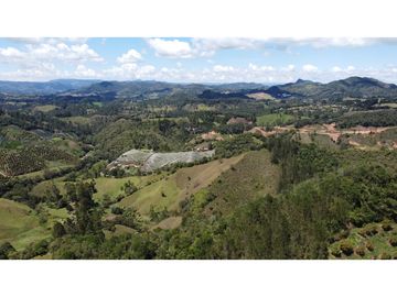 Venta finca de 26 H con aguacate y pino en Pantanillo el Retiro
