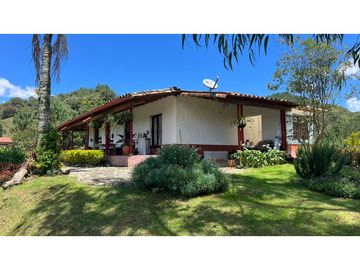 Venta finca de 26 H con aguacate y pino en Pantanillo el Retiro