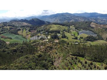 Venta finca de 26 H con aguacate y pino en Pantanillo el Retiro