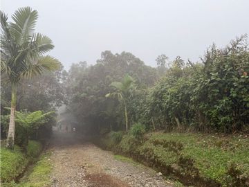Se Vende Casa Campestre Condominio Filandia Quindio