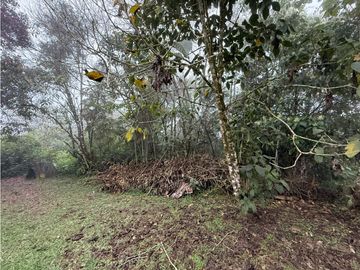 Se Vende Casa Campestre Condominio Filandia Quindio