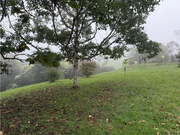 Se Vende Casa Campestre Condominio Filandia Quindio