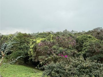 Se Vende Casa Campestre Condominio Filandia Quindio