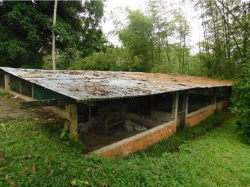 VENTA DE finca en Borrero Ayerbe MIP8008611
