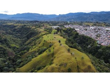 VENTA EXCELENTE FINCA 73 CUADRAS. 5 MINUTOS DE CIRCASIA