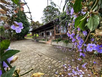 VENTA EXCELENTE FINCA 73 CUADRAS. 5 MINUTOS DE CIRCASIA